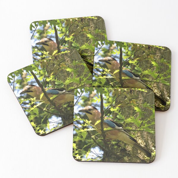 Item preview, Eurasian Jay designed and sold by tomeoftrovius.