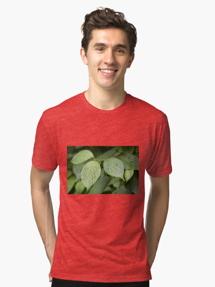 Alternate view of Water drops on green leaves after rain Tri-blend T-Shirt