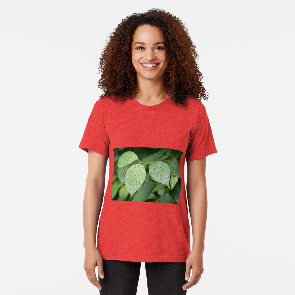 Water drops on green leaves after rain Tri-blend T-Shirt