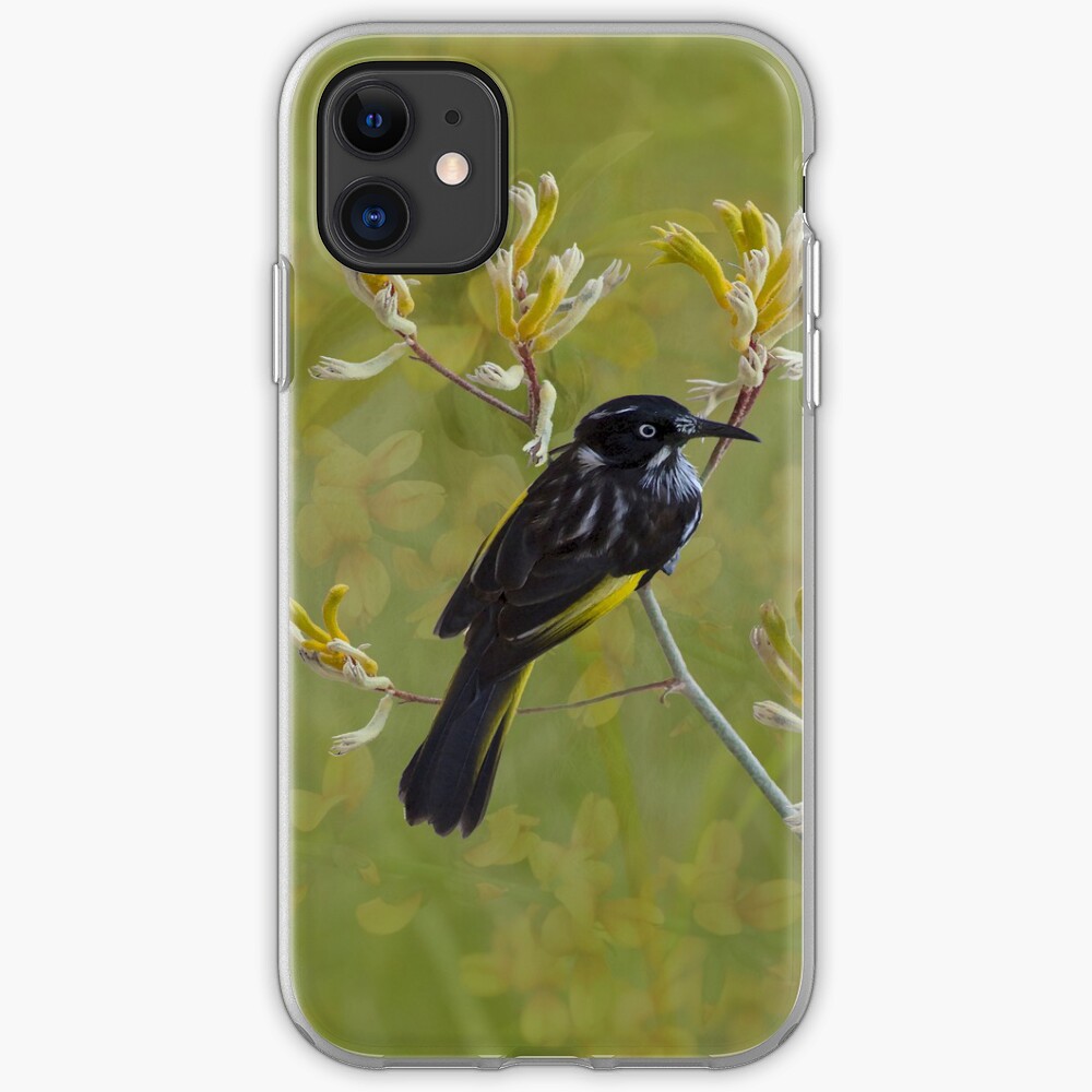 Native Bird Honey-eater on Yellow Kangaroo Paw Australia iPhone Case & Cover