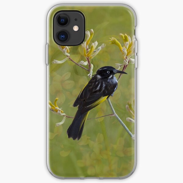Native Bird Honey-eater on Yellow Kangaroo Paw Australia iPhone Soft Case