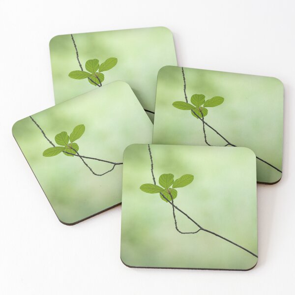 Item preview, Small young thin tree growing new leaves designed and sold by Juhku.