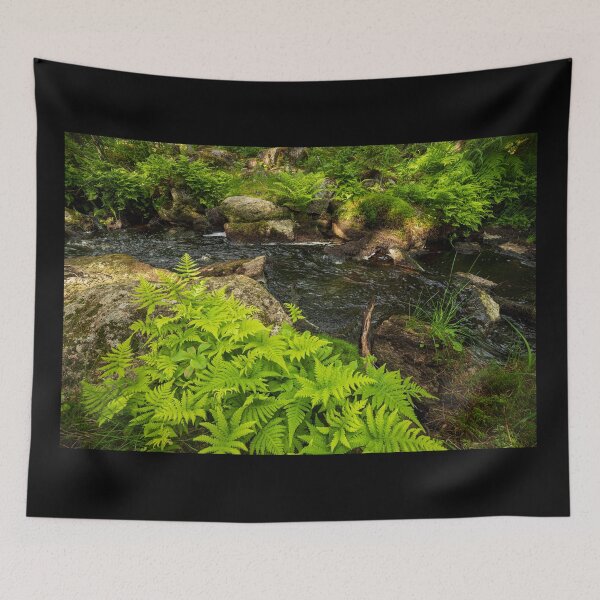 Item preview, Fern in the forest creek landscape designed and sold by Juhku.