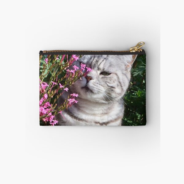 Item preview, molly kin’s.   “Sniff Sniff”  designed and sold by Angela Haig-Harrison.