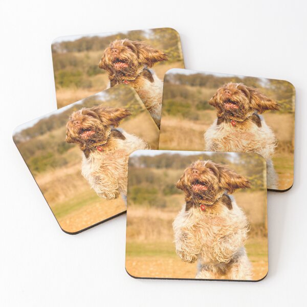 Item preview, Brown Roan Italian Spinone Dog Leaping designed and sold by FOLK ART FUSION.