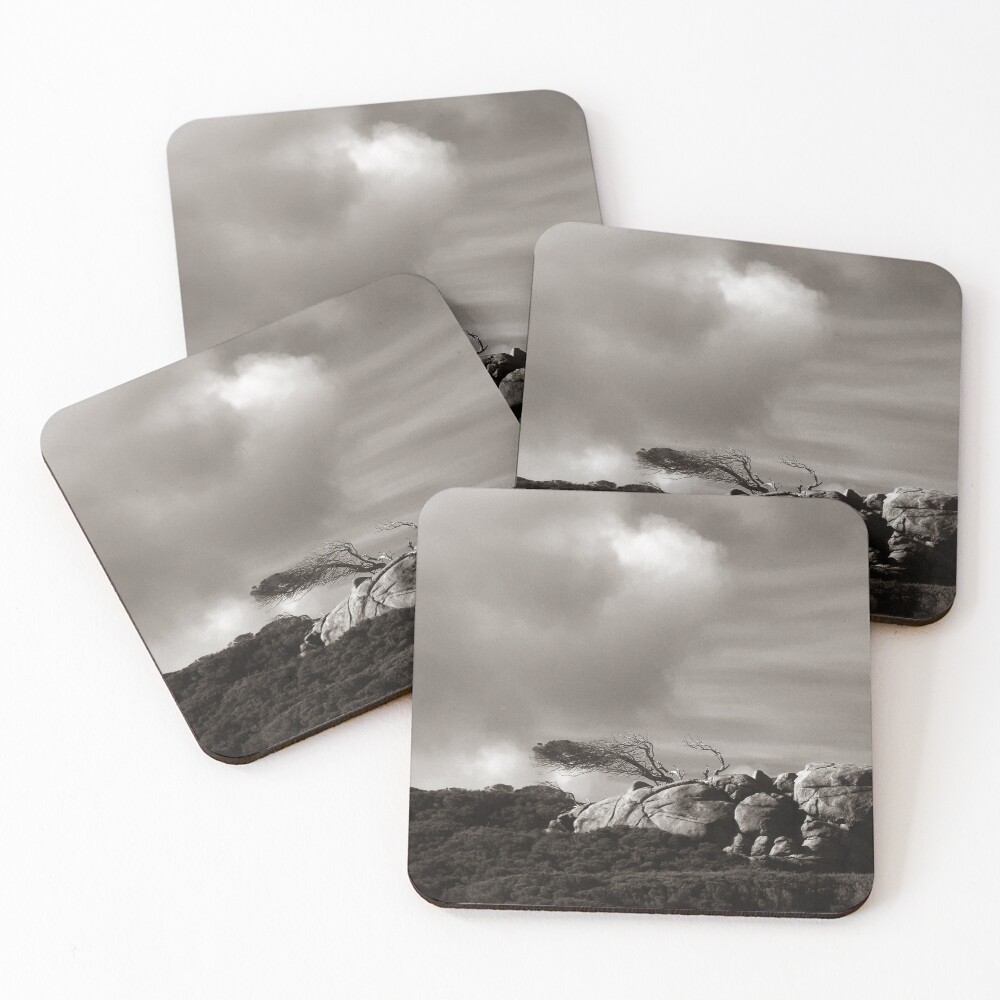 Item preview, Coasters (Set of 4) designed and sold by angevogel.