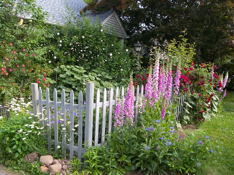 "New England Cottage Garden" by perpetualphoto Redbubble