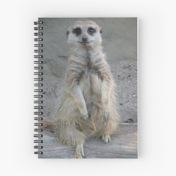 Item preview, The Lookout ... Posing! designed and sold by Trish Meyer.