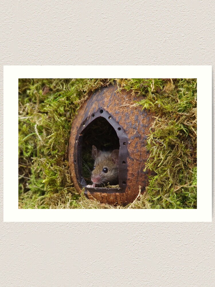 George the Mouse in a log pile house