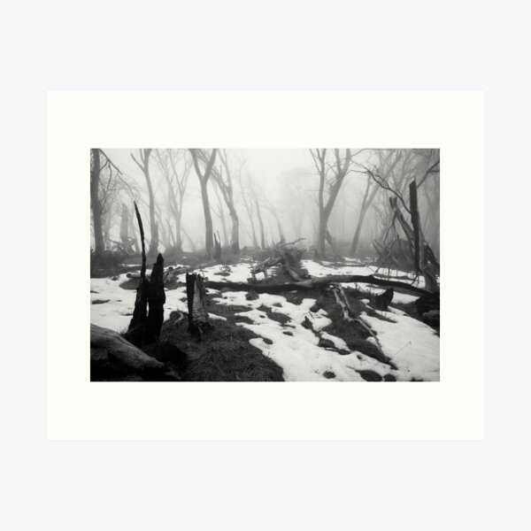 Item preview, After the fire - B&W designed and sold by Will Hore-Lacy.