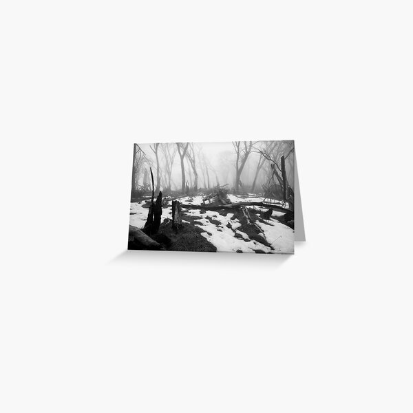 After the fire - B&W Greeting Card