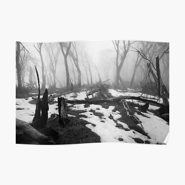 After the fire - B&W Poster
