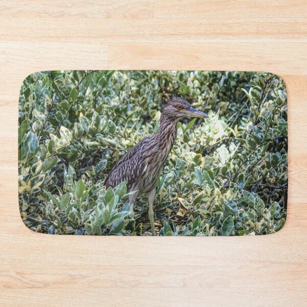 Item preview, Night Heron at Zoo designed and sold by Bob Hardy.