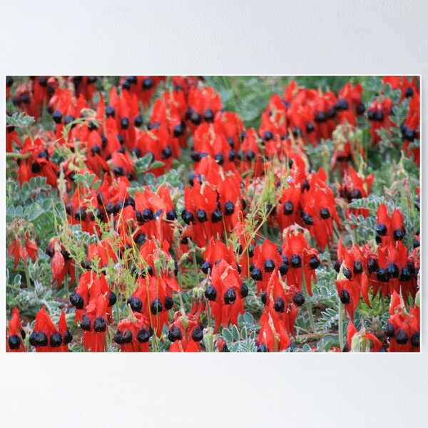 Item preview, Simply Red. designed and sold by elphonline.