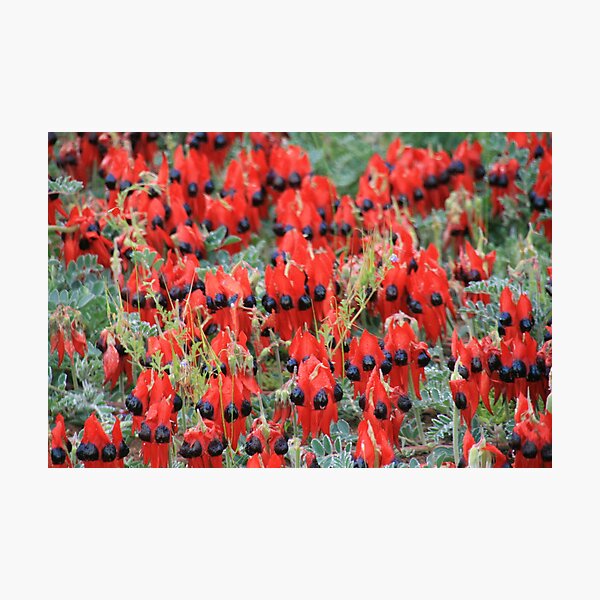 Item preview, Simply Red. designed and sold by elphonline.