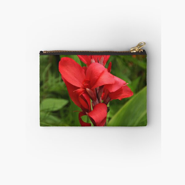 Item preview, Canna designed and sold by Sandy Keeton.