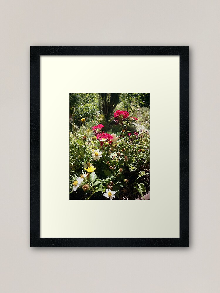 Alternative Ansicht von Blumen-Beet Gerahmter Kunstdruck