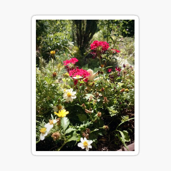 Blumen-Beet Sticker