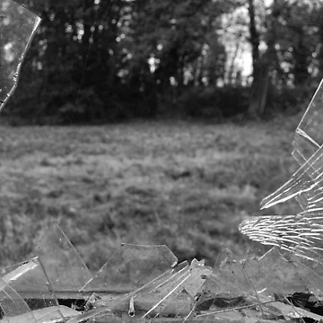 Artwork thumbnail, Broken Glass by Rees Adams
