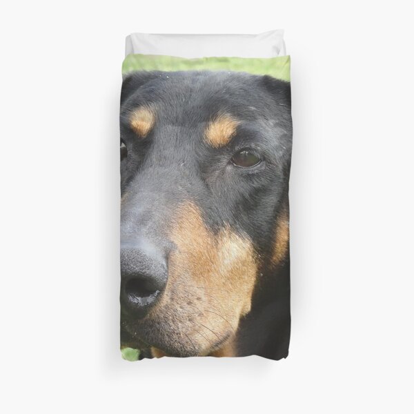 Doberman Duvet Covers Redbubble