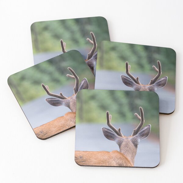 Item preview, Looking Forward designed and sold by Tracy Riddell.
