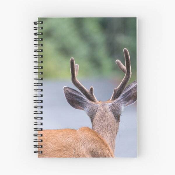 Item preview, Looking Forward designed and sold by Tracy Riddell.