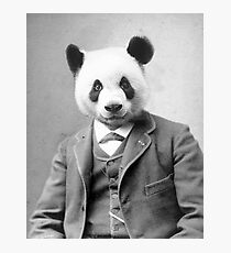 Distinguished Panda Photographic Print