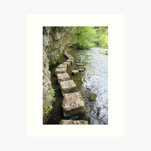 Stepping Stones Art Print