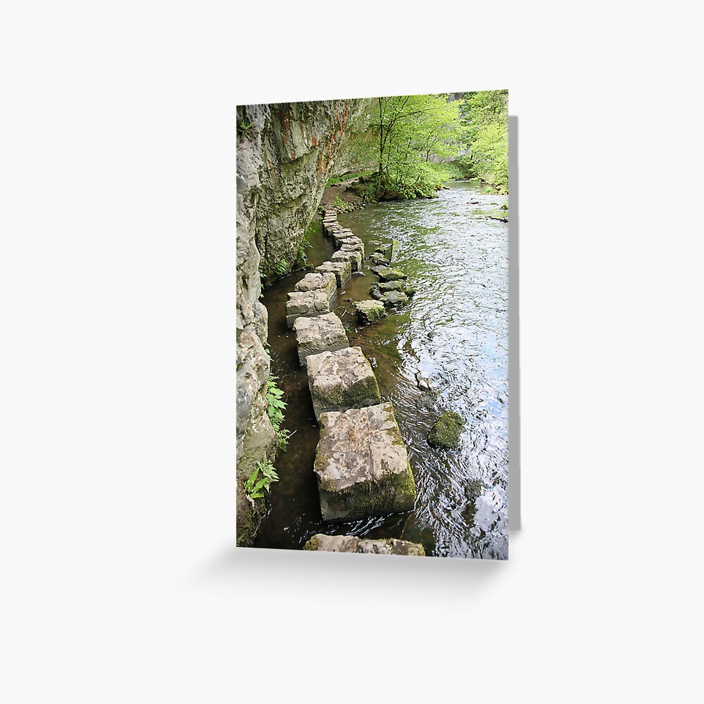 Stepping Stones Greeting Card