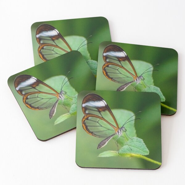 Item preview, Glasswing butterfly designed and sold by iCimages.net.