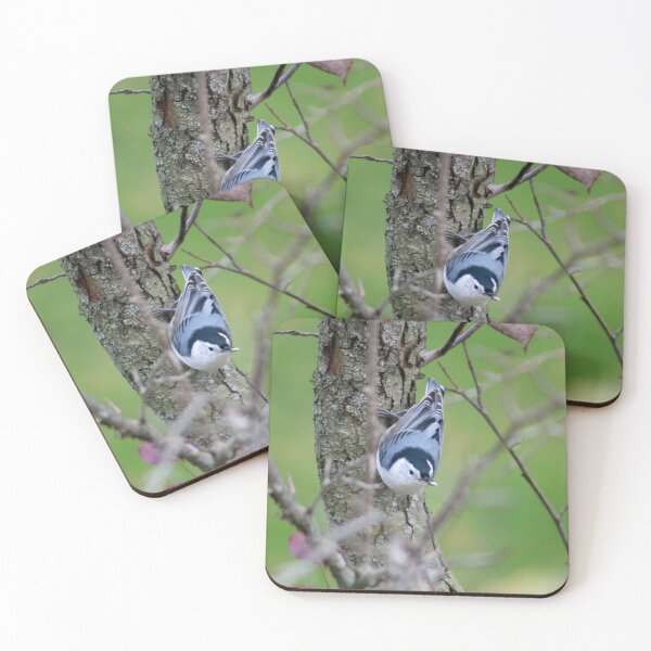 Item preview, White-Breasted Nuthatch in a Crabapple Tree designed and sold by mokacat.