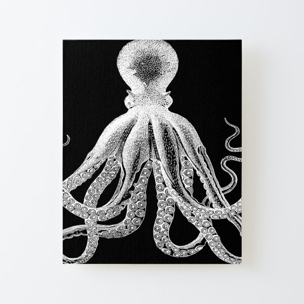 Octopus | Vintage Octopus | Tentacles | Sea Creatures | Nautical | Ocean | Sea | Beach | Black and White |  Canvas Mounted Print