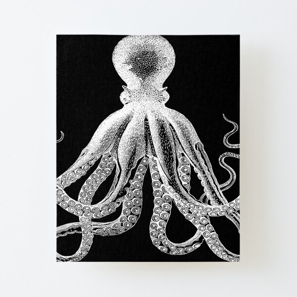 Octopus | Vintage Octopus | Tentacles | Sea Creatures | Nautical | Ocean | Sea | Beach | Black and White | Canvas Mounted Print