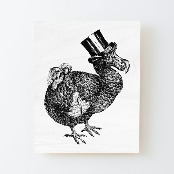 Mr Dodo | Vintage Dodos | Black and White | Wood Mounted Print
