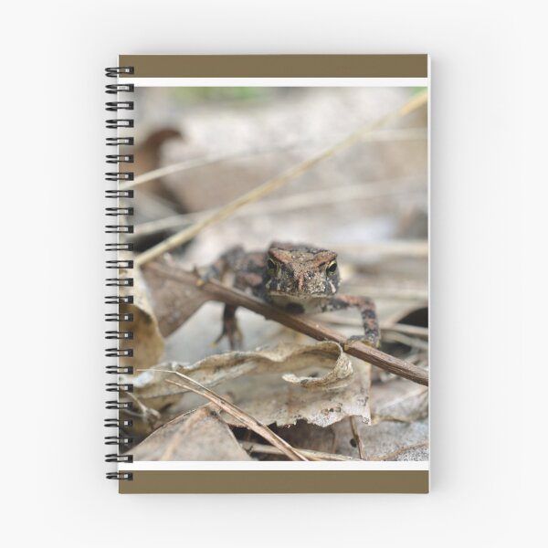 Item preview, Baby American Toad designed and sold by LizardSpirit.