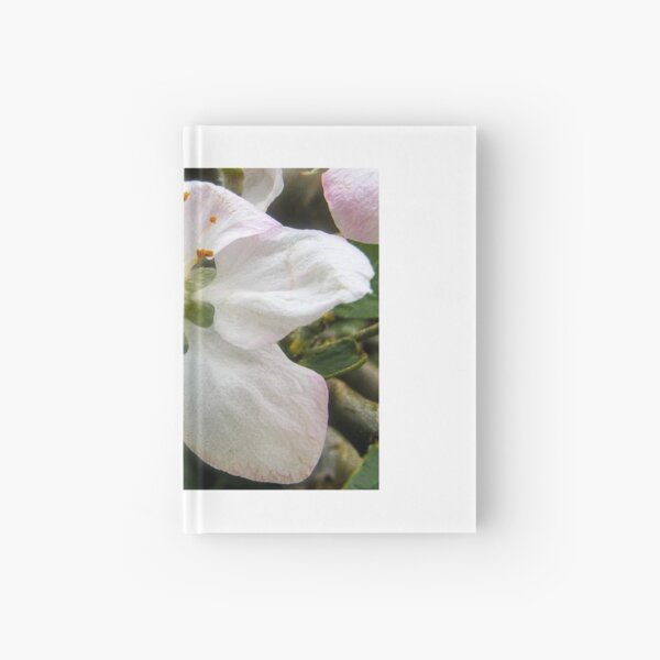 Item preview, A single Apple Blossom designed and sold by DPalmer.