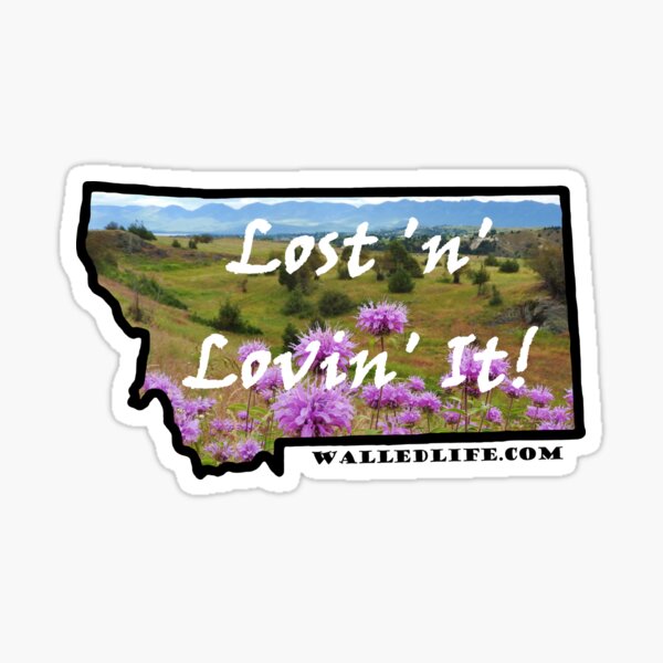Montana Horsemint and Missions Sticker