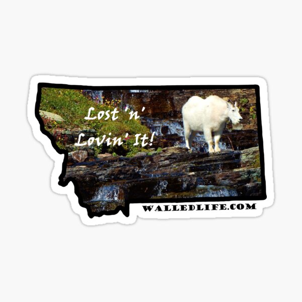 Montana Mountain Goat Sticker