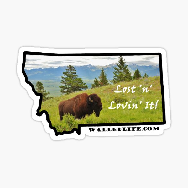 Montana Bison Sticker
