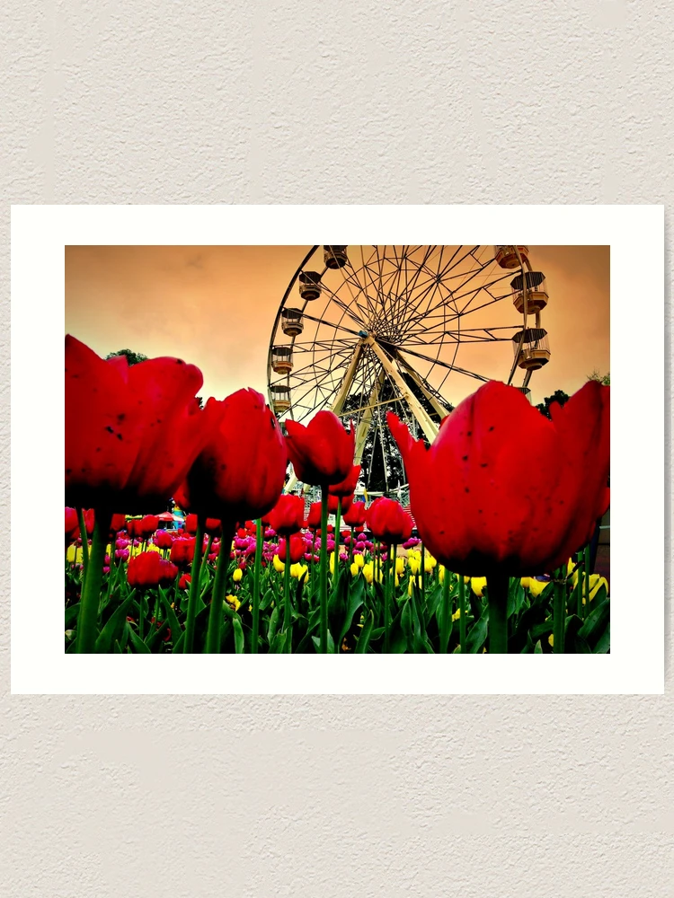 Thumbnail 1 of 3, Art Print, Spring Floriade designed and sold by Rinaldo Di Battista.