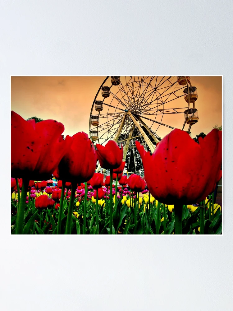 Thumbnail 1 of 3, Poster, Spring Floriade designed and sold by Rinaldo Di Battista.