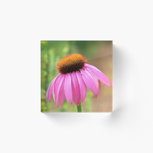 Item preview, pink sunhat - flowers, flowers, pink designed and sold by rhnaturestyles.