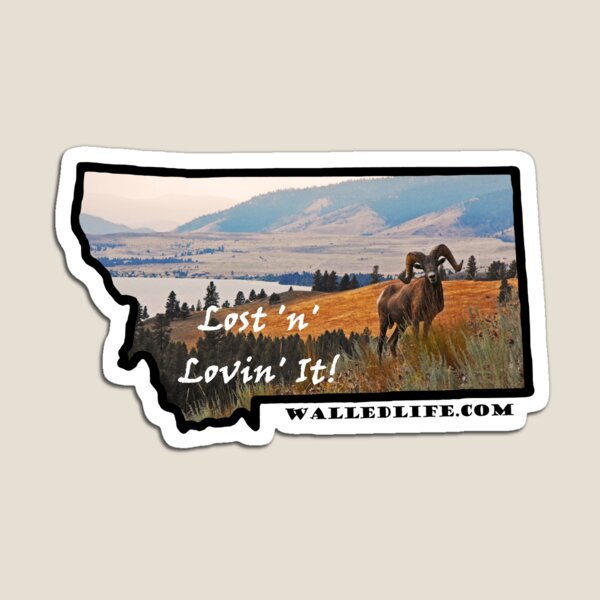 Montana Bighorn Sheep Magnet