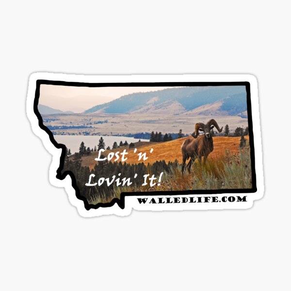 Montana Bighorn Sheep Sticker