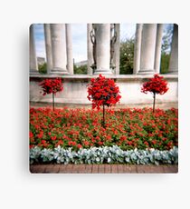 Three red bushes Canvas Print