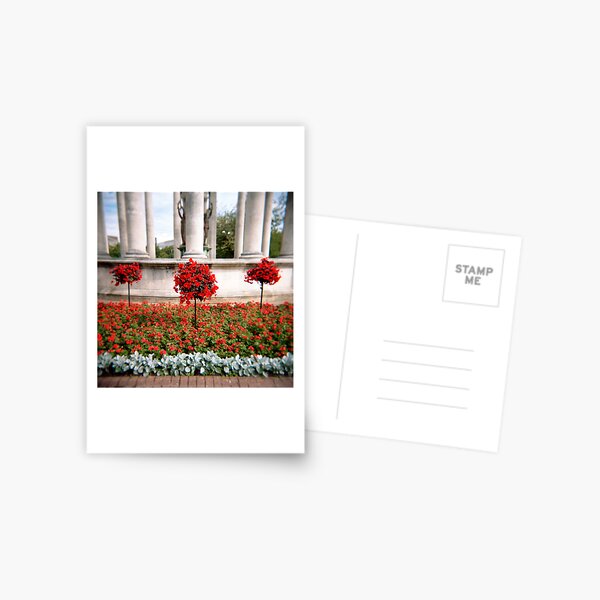 Item preview, Three red bushes designed and sold by Craig  Roberts.