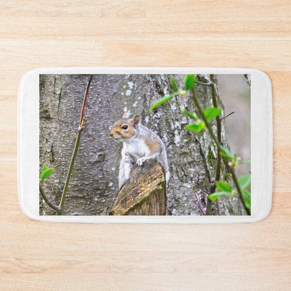 Item preview, Squirrel in the Spring... designed and sold by RichImage.
