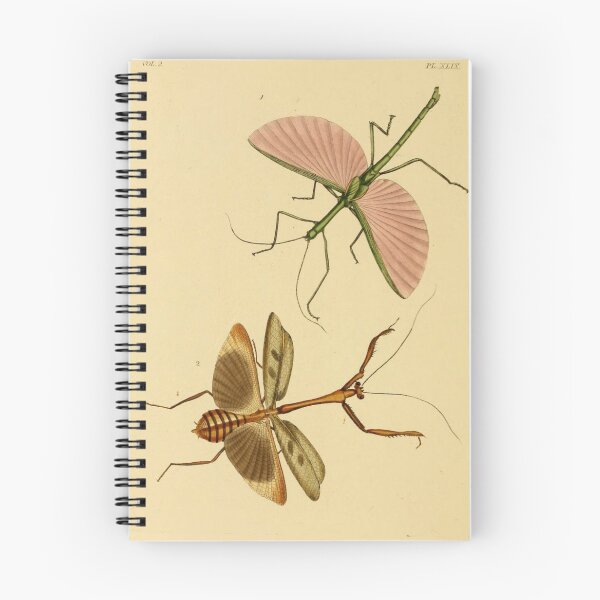 Item preview, Naturalist Stick Insects designed and sold by BlueSpecsStudio.