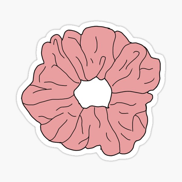 Vsco Stickers Pink Scrunchie