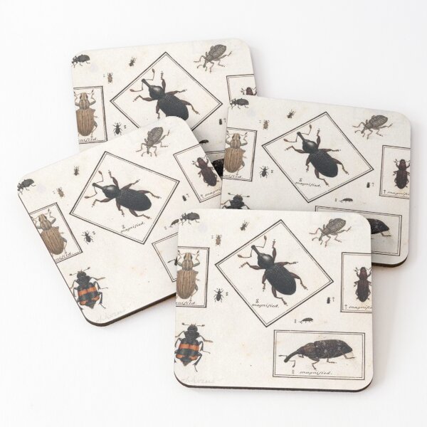 Item preview, Naturalist Beetles designed and sold by BlueSpecsStudio.